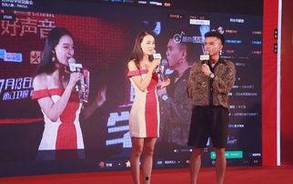 好声音最新爆料,实力选手集结,巅峰对决即将上演!